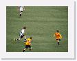 photos foot corse 2010 335 * 3264 x 2448 * (1.67MB)